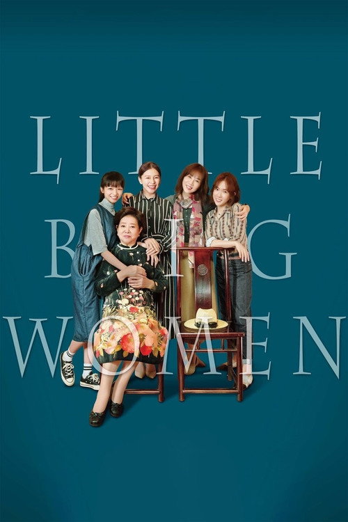 Póster de Little Big Women