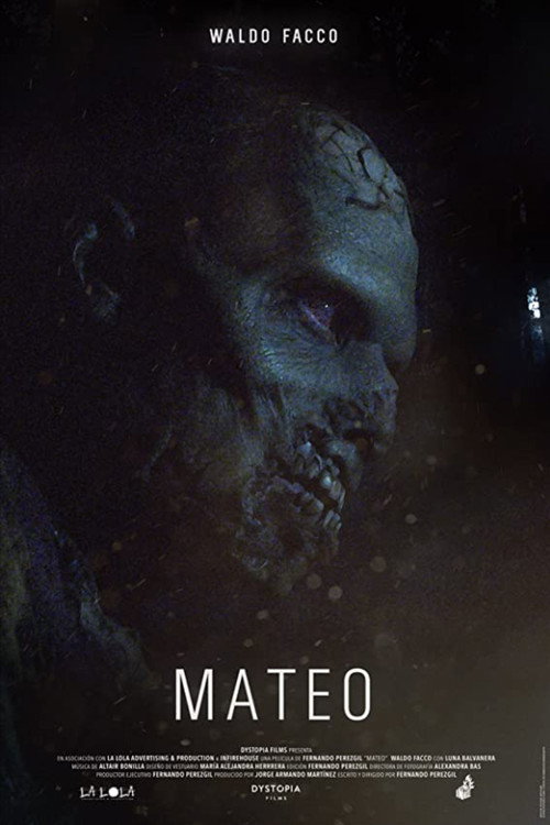Póster de Mateo
