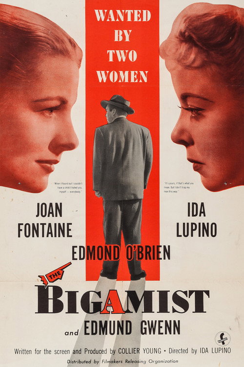 Póster de The Bigamist