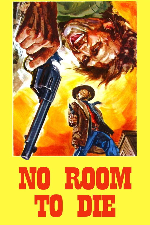 Póster de A Noose for Django