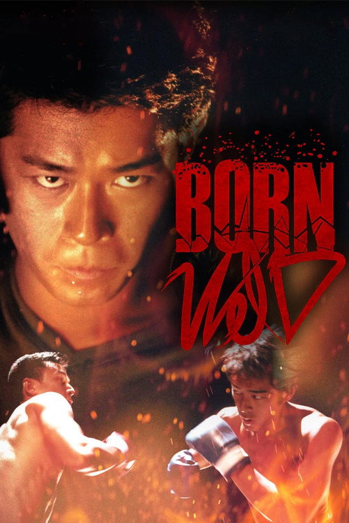 Póster de Born Wild