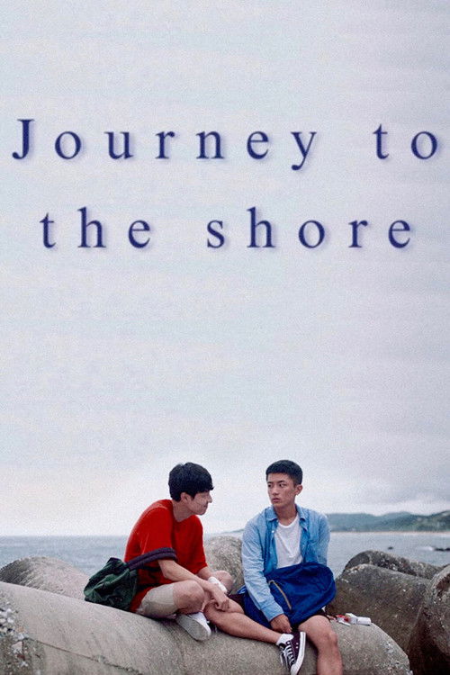 Póster de Journey to the Shore