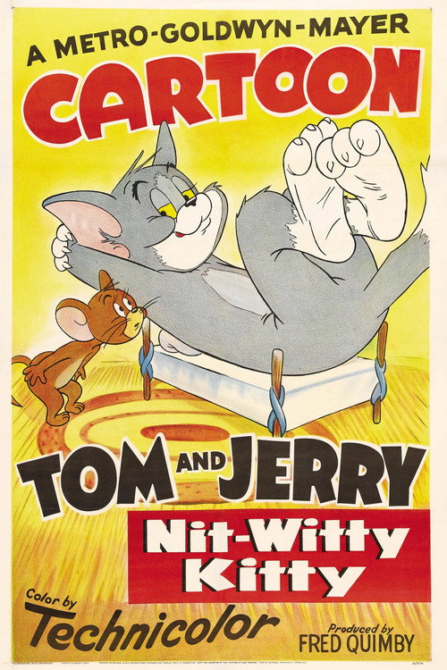 Póster de Nit-Witty Kitty