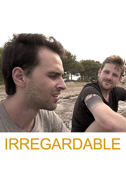 Póster de Irregardable
