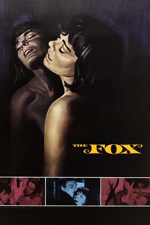Póster de The Fox
