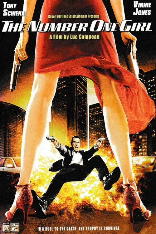 Póster de The Number One Girl