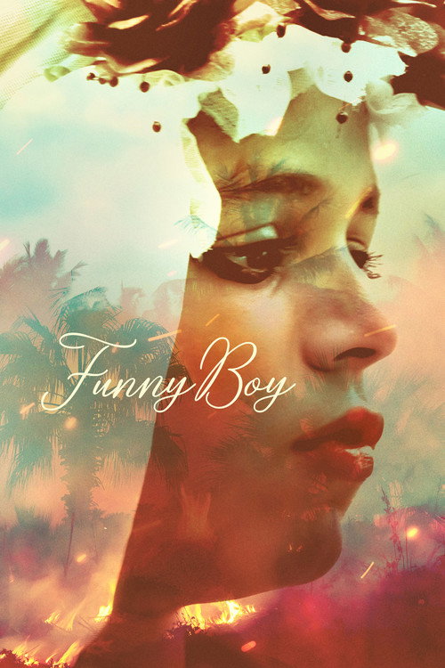Póster de Funny Boy