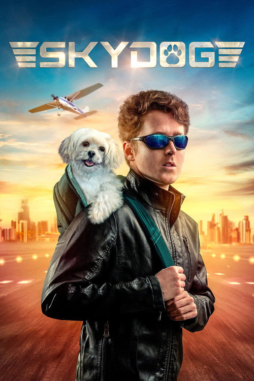 Póster de Skydog