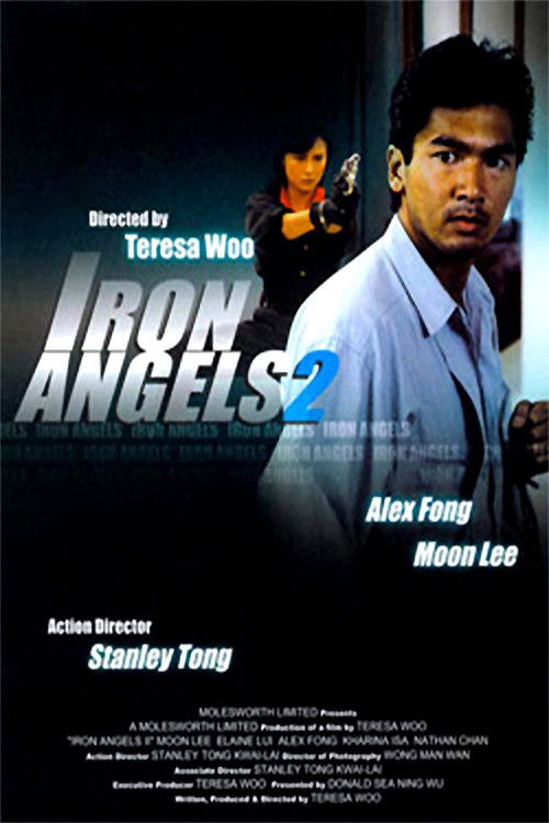 Póster de Iron Angels 2