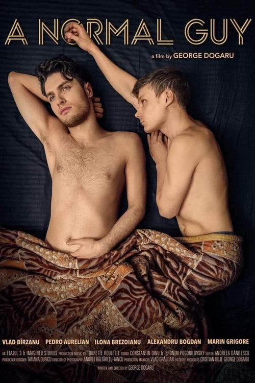 Póster de A Normal Guy