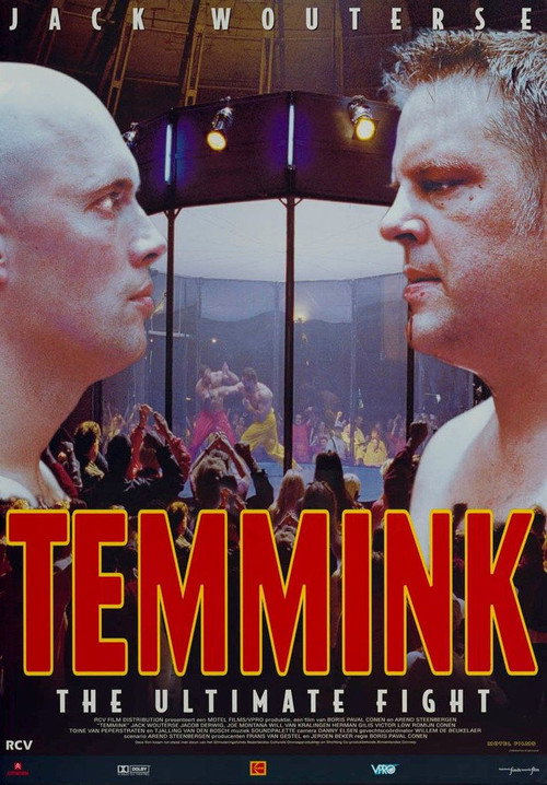 Póster de Temmink: The Ultimate Fight