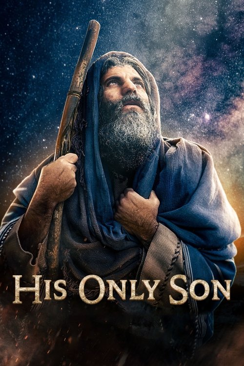 Póster de His Only Son