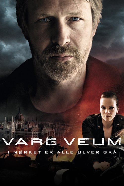 Póster de Varg Veum - At Night All Wolves Are Grey