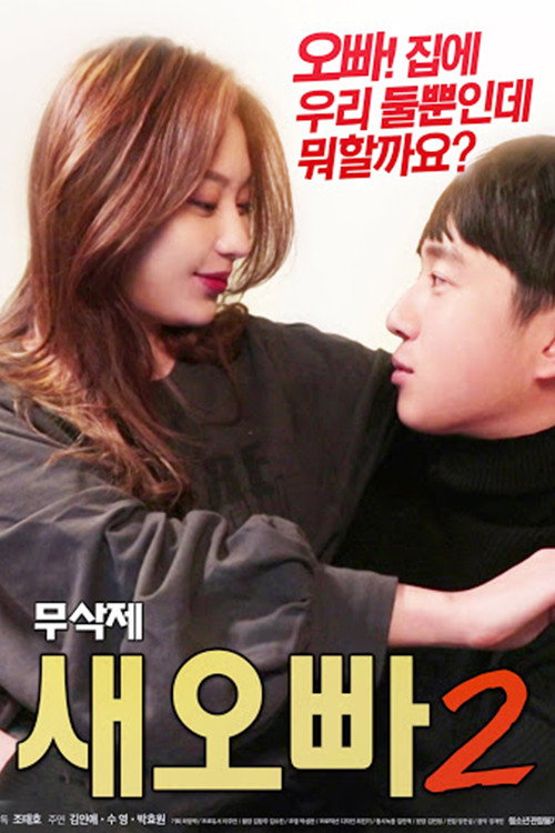 Póster de Step-Brother 2