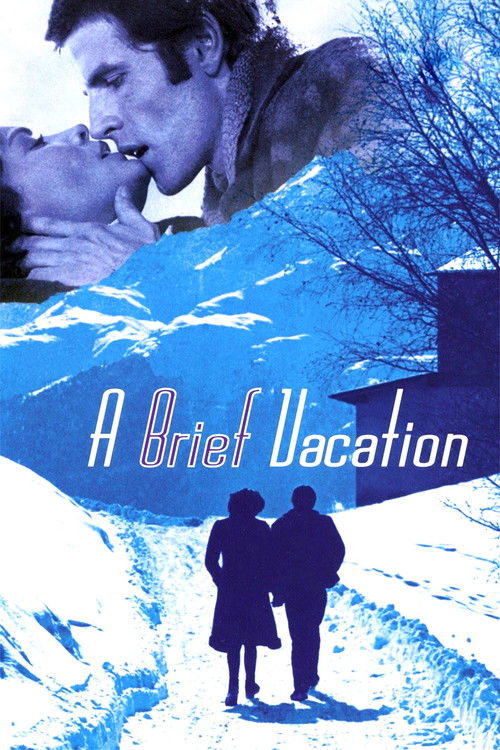 Póster de A Brief Vacation