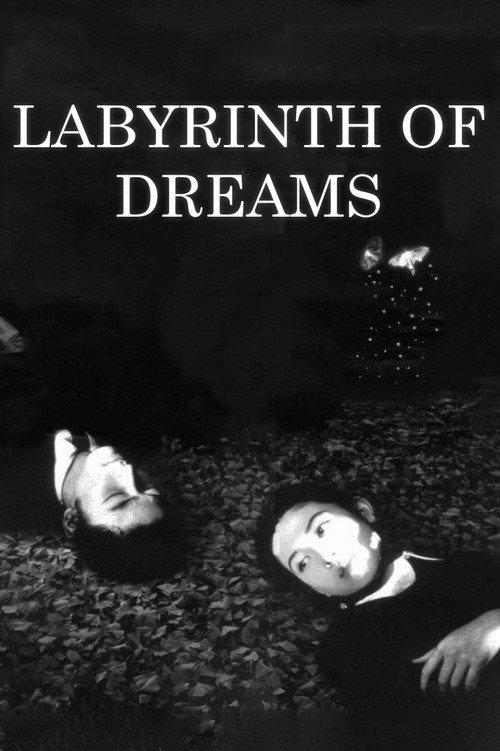 Póster de Labyrinth of Dreams