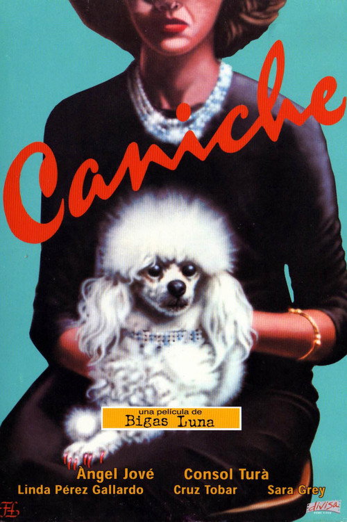 Póster de Caniche