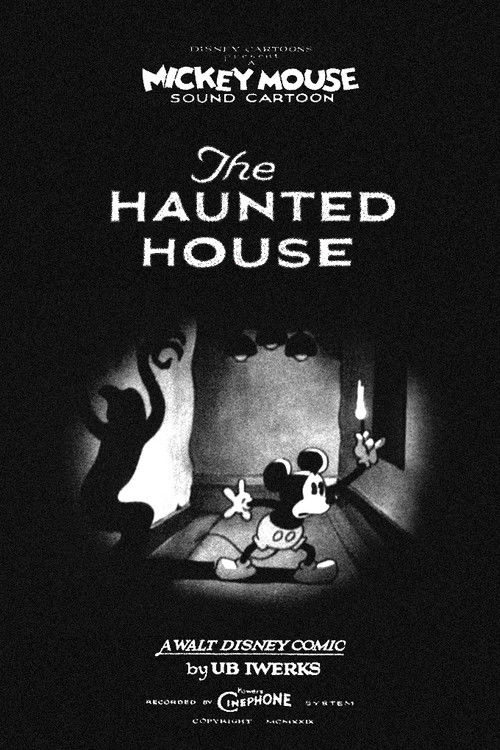 Póster de The Haunted House