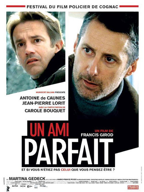 Póster de A Perfect Friend