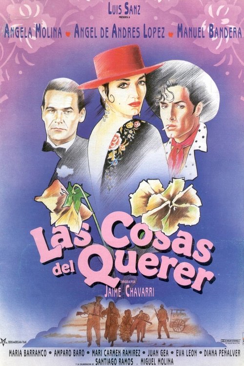 Póster de Las cosas del querer