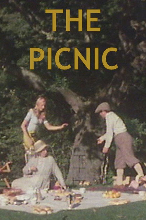 Póster de The Picnic