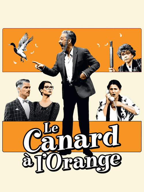Póster de The Secretary Bird
