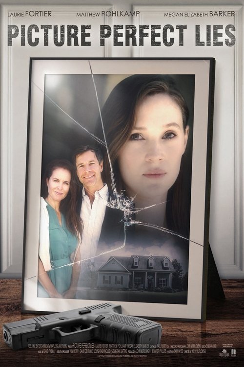 Póster de Picture Perfect Lies