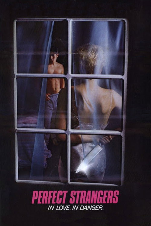 Póster de Perfect Strangers