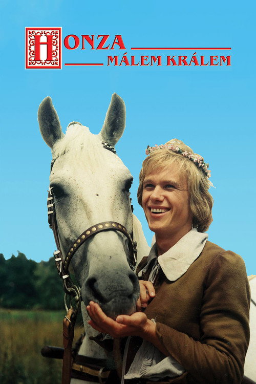 Póster de Almost King
