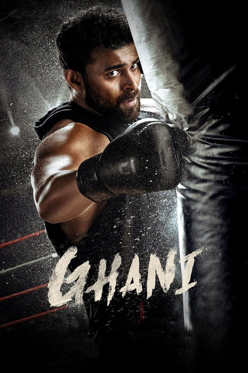 Póster de Ghani