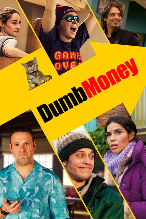 Póster de Dumb Money