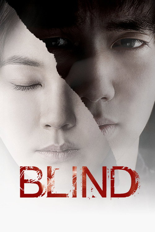Póster de Blind