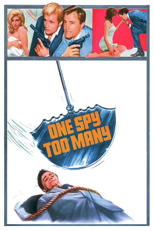 Póster de One Spy Too Many