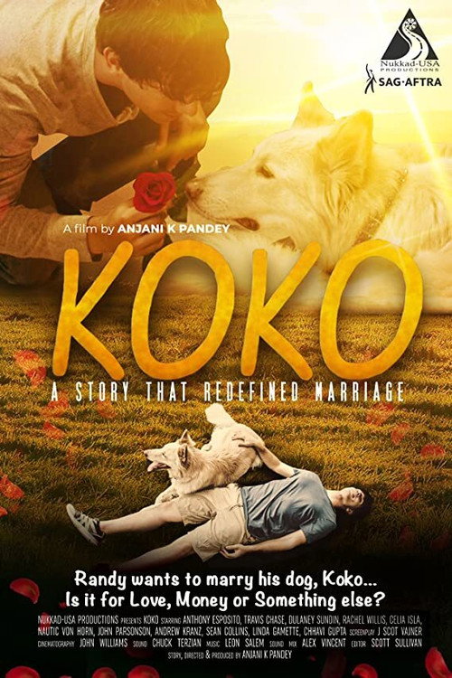 Locandina di Koko
