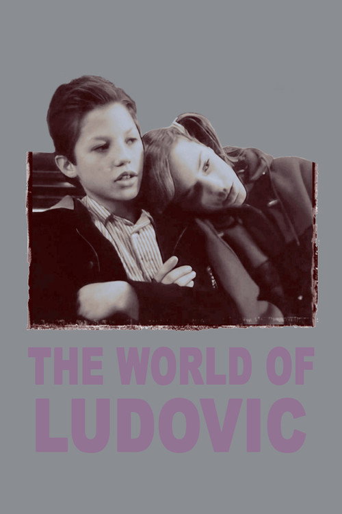 Póster de De wereld van Ludovic