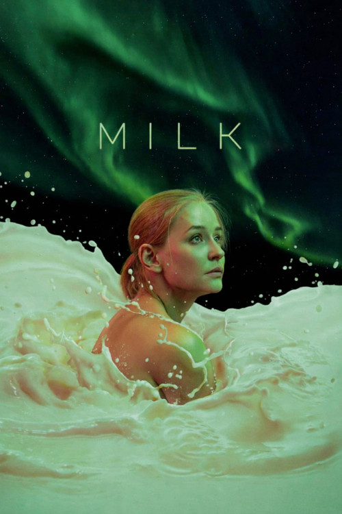 Póster de Milk