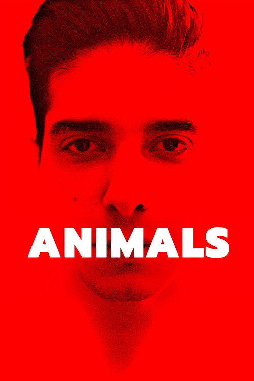 Póster de Animals