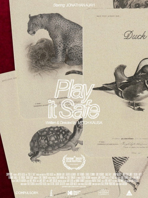 Póster de Play It Safe