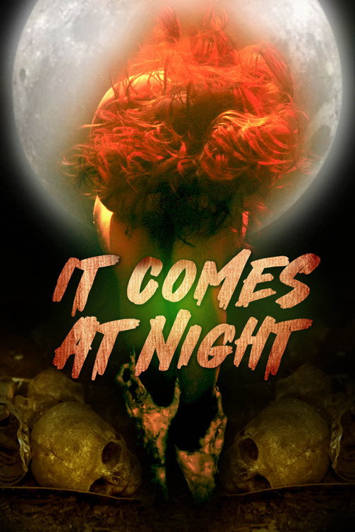 Póster de In the Light of the Night