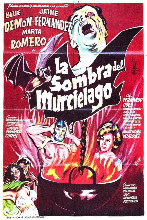 Poster of The Shadow of the Bat