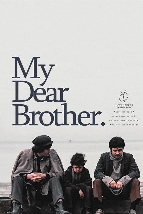 Póster de My Dear Brother