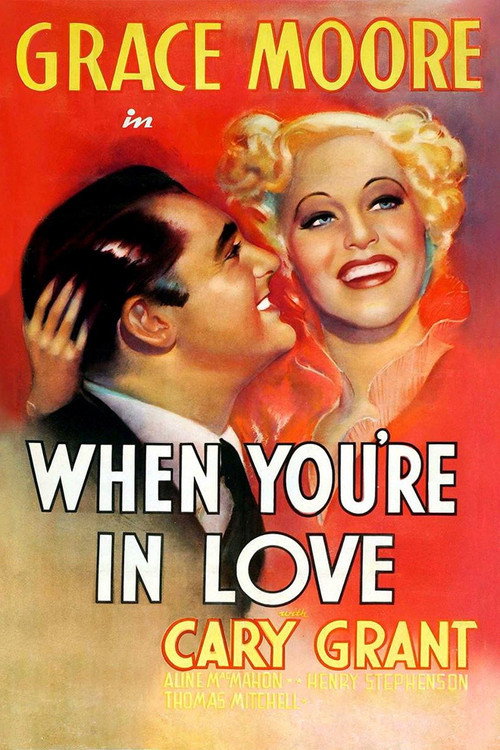 Póster de When You're in Love