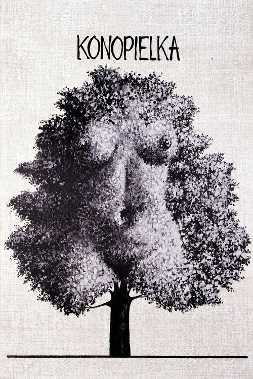 Póster de The Linnet