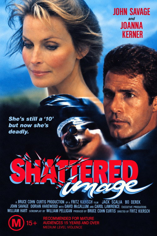 Póster de Shattered Image