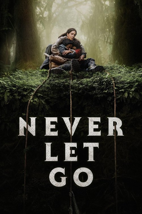 Póster de Never Let Go