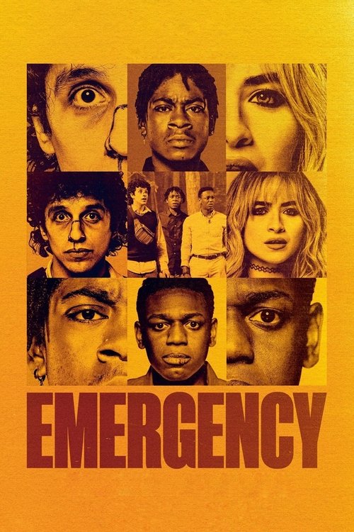 Póster de Emergency
