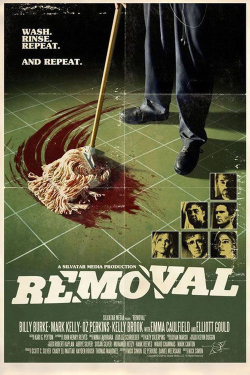 Póster de Removal