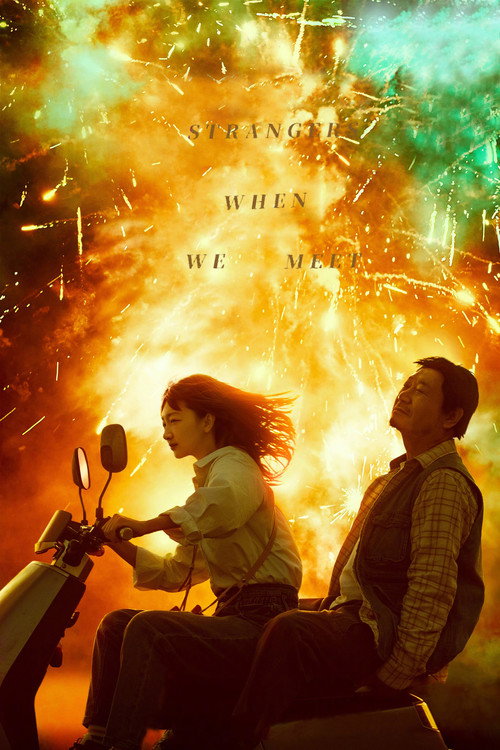 Póster de Strangers When We Meet