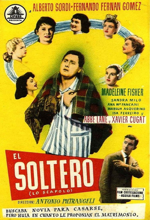 Póster de The Bachelor