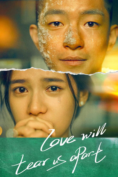 Póster de Love Will Tear Us Apart